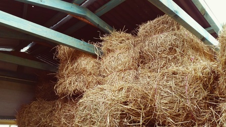 Low sugar/starch hay